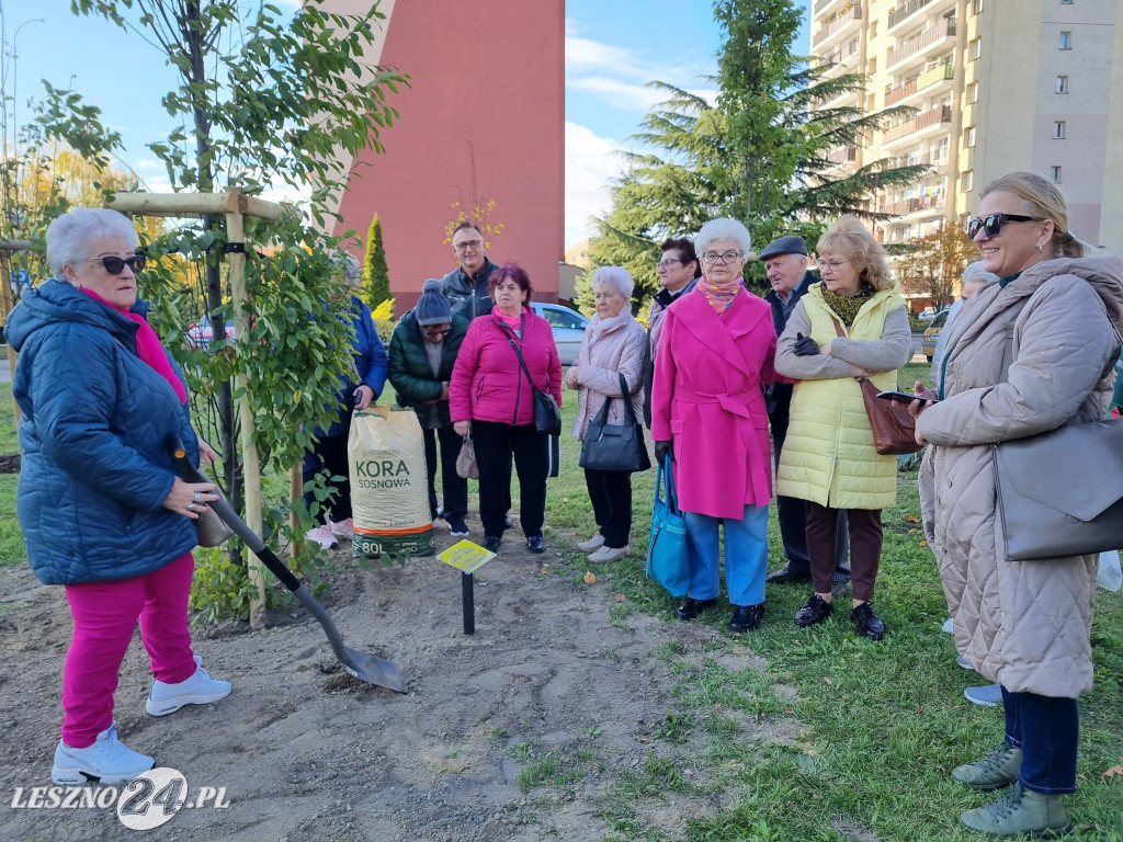 Sadzenie drzew w Parku Grody Leszczyńskie
