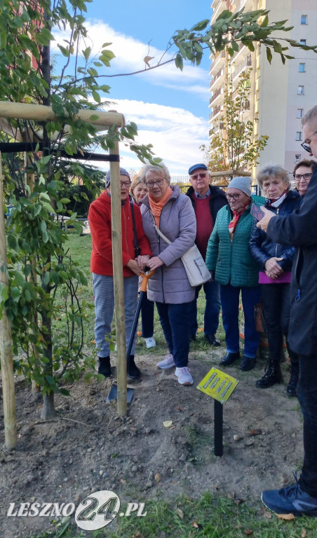Sadzenie drzew w Parku Grody Leszczyńskie