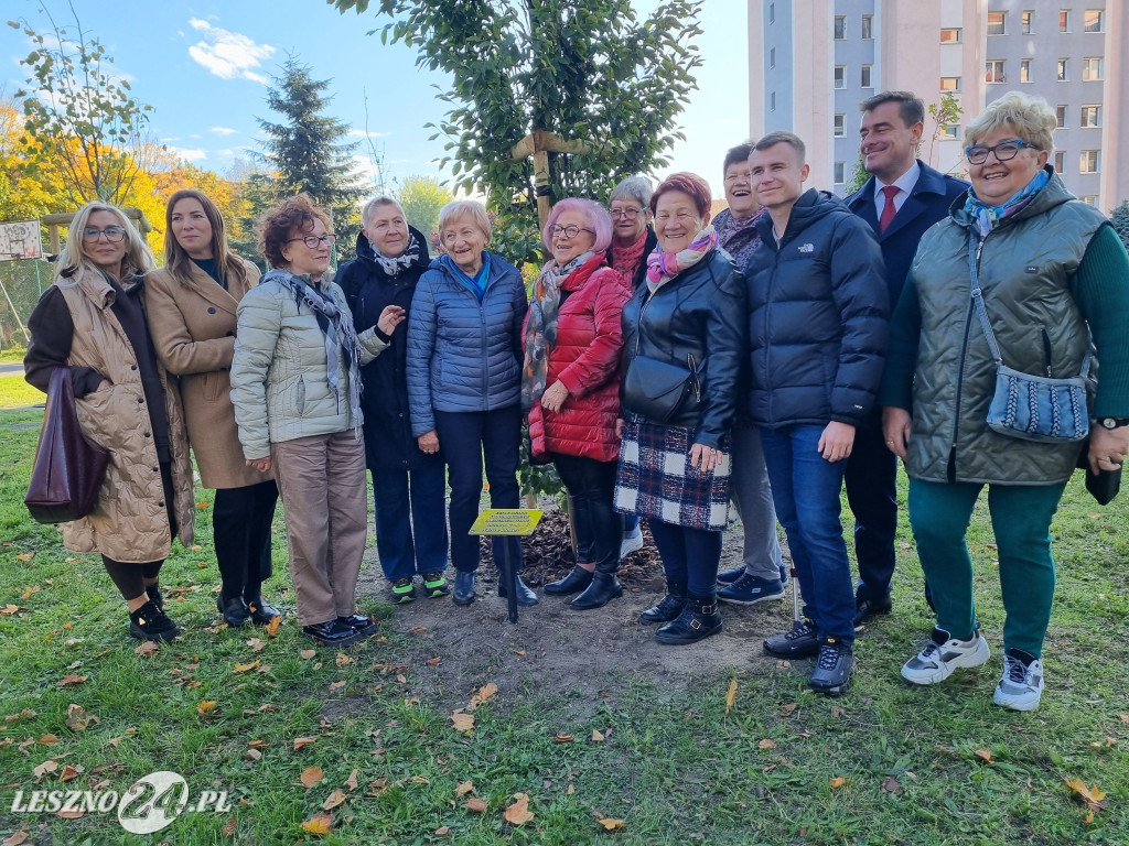 Sadzenie drzew w Parku Grody Leszczyńskie