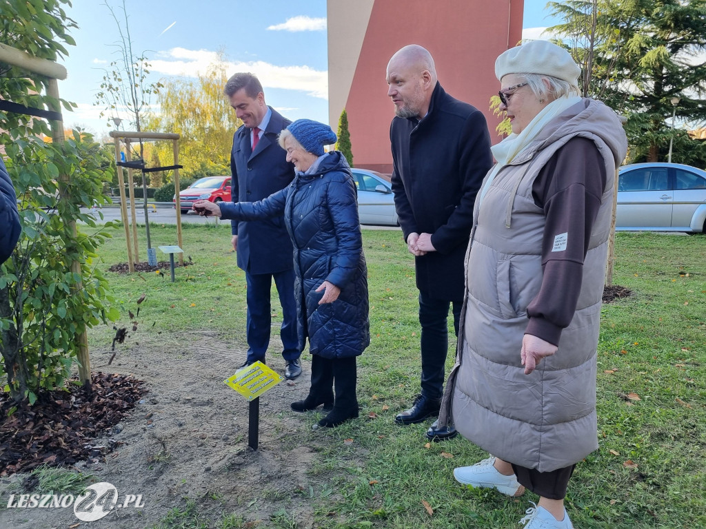 Sadzenie drzew w Parku Grody Leszczyńskie