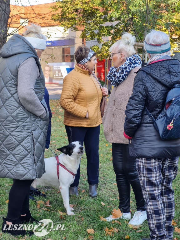 Sadzenie drzew w Parku Grody Leszczyńskie