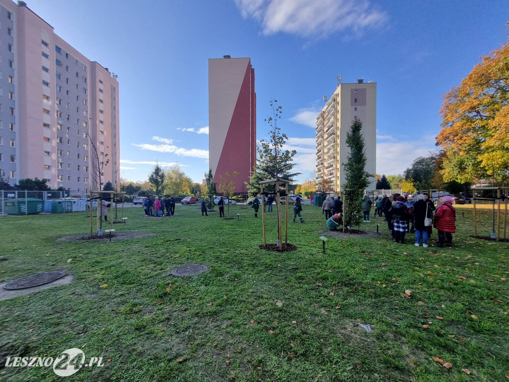 Sadzenie drzew w Parku Grody Leszczyńskie