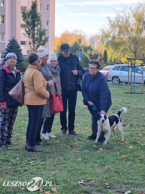 Sadzenie drzew w Parku Grody Leszczyńskie