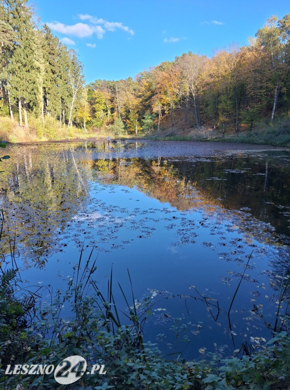Jesienne zdjęcia czytelników leszno24.pl