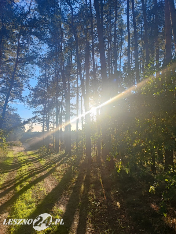 Jesienne zdjęcia czytelników leszno24.pl