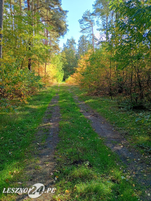 Jesienne zdjęcia czytelników leszno24.pl
