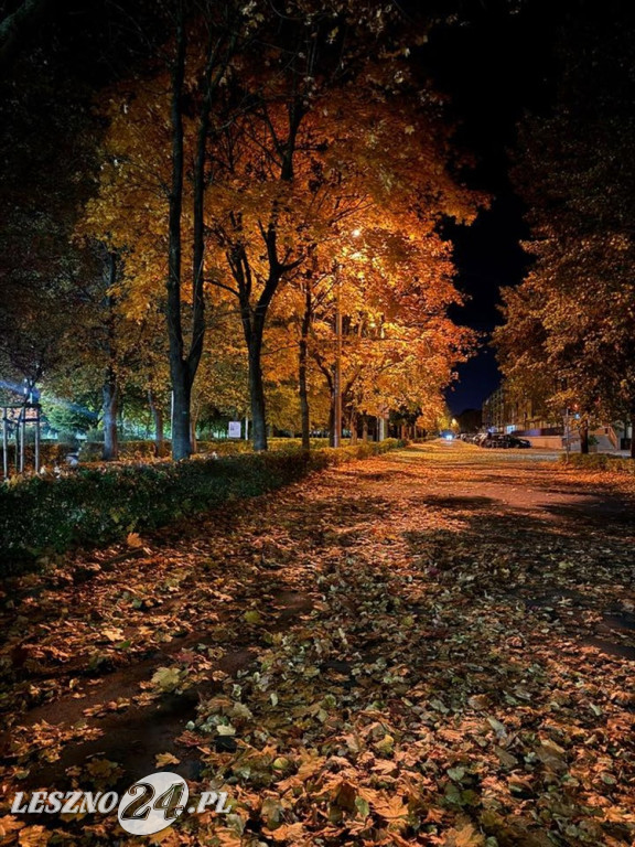 Jesienne zdjęcia czytelników leszno24.pl