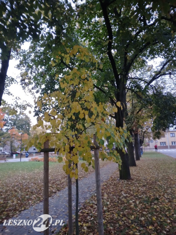 Jesienne zdjęcia czytelników leszno24.pl