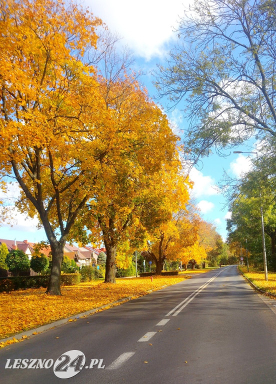 Jesienne zdjęcia czytelników leszno24.pl