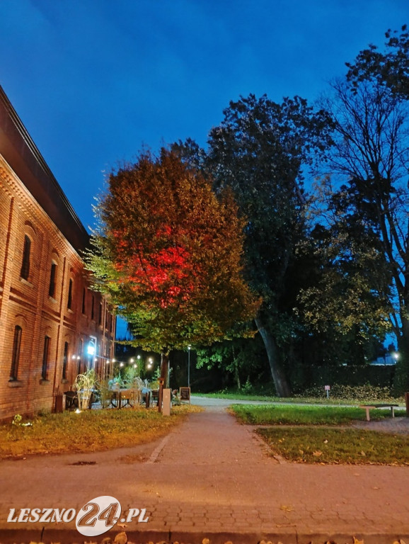 Jesienne zdjęcia czytelników leszno24.pl