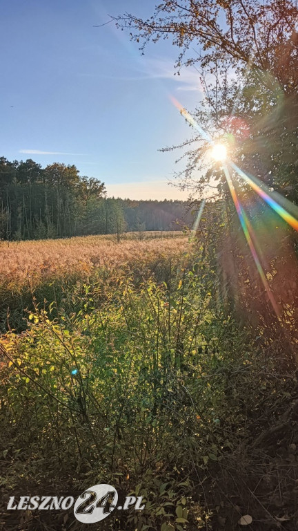Jesienne zdjęcia czytelników leszno24.pl