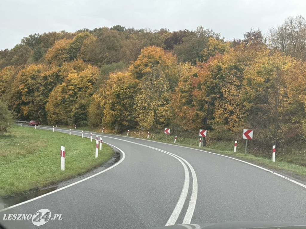 Jesienne zdjęcia czytelników leszno24.pl