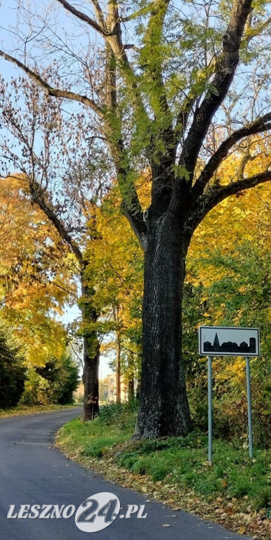 Jesienne zdjęcia czytelników leszno24.pl