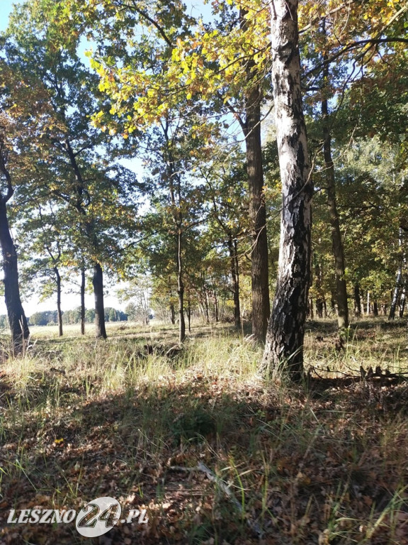 Jesienne zdjęcia czytelników leszno24.pl