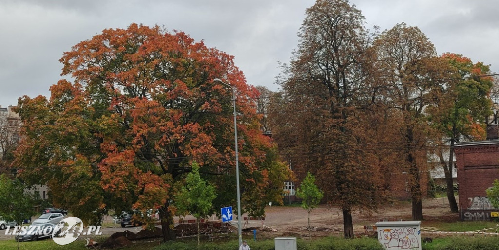 Jesienne zdjęcia czytelników leszno24.pl