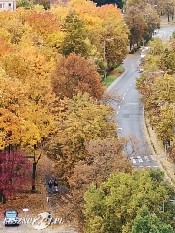 Jesienne zdjęcia czytelników leszno24.pl