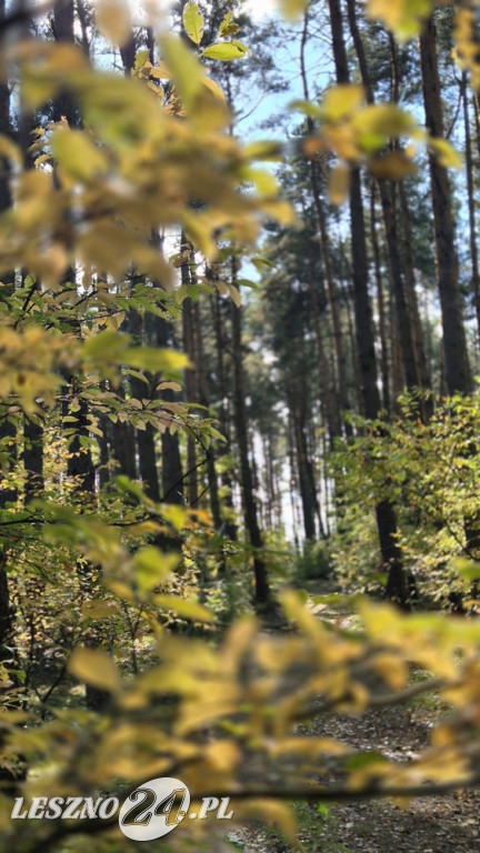 Jesienne zdjęcia czytelników leszno24.pl