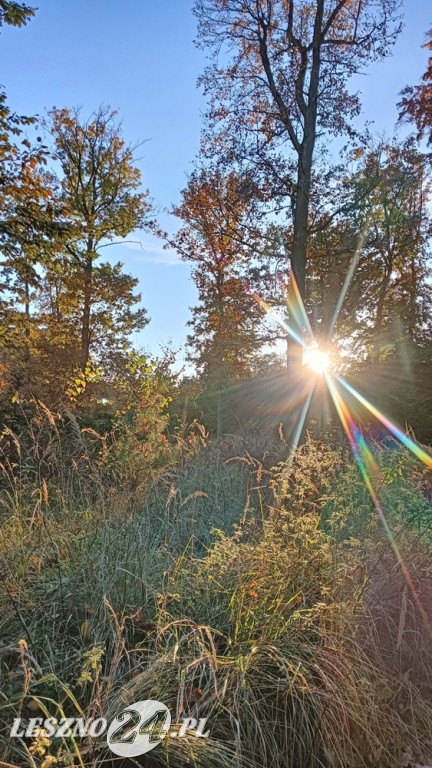 Jesienne zdjęcia czytelników leszno24.pl