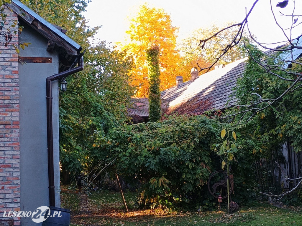 Jesienne zdjęcia czytelników leszno24.pl