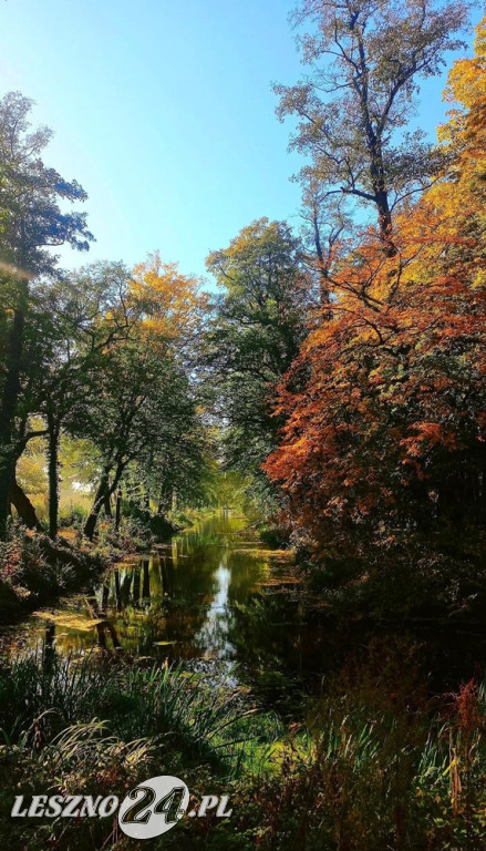 Jesienne zdjęcia czytelników leszno24.pl