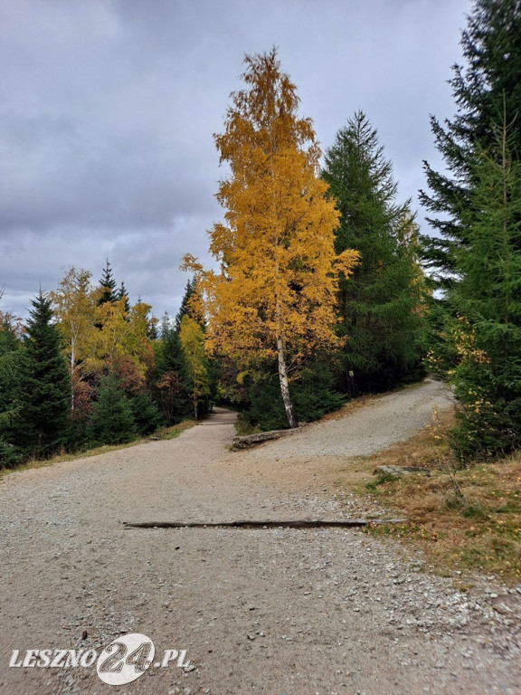 Jesienne zdjęcia czytelników leszno24.pl