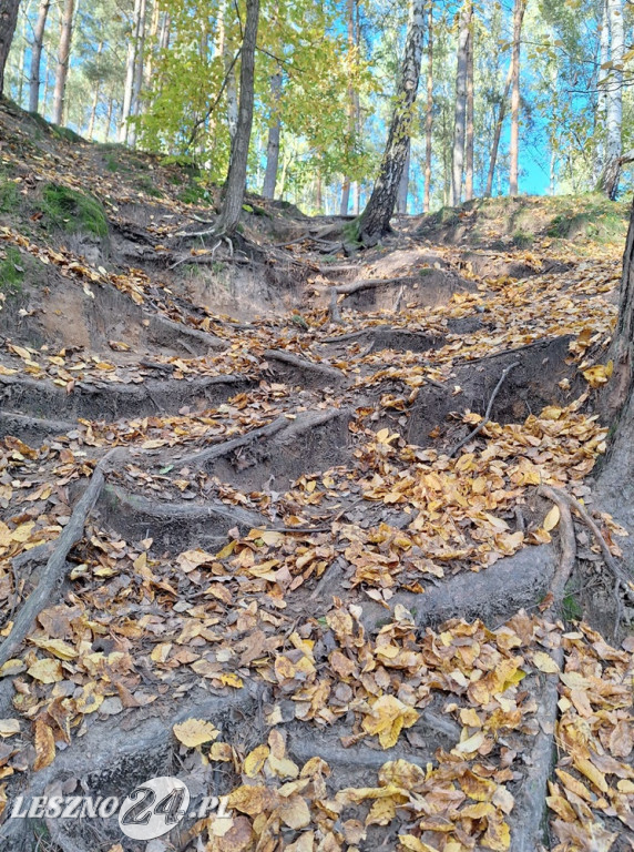 Jesienne zdjęcia czytelników leszno24.pl