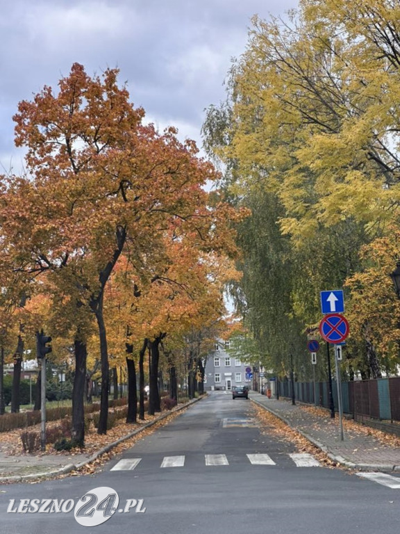 Jesienne zdjęcia czytelników leszno24.pl