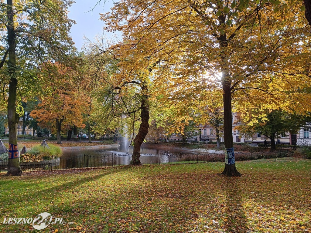 Jesienne zdjęcia czytelników leszno24.pl