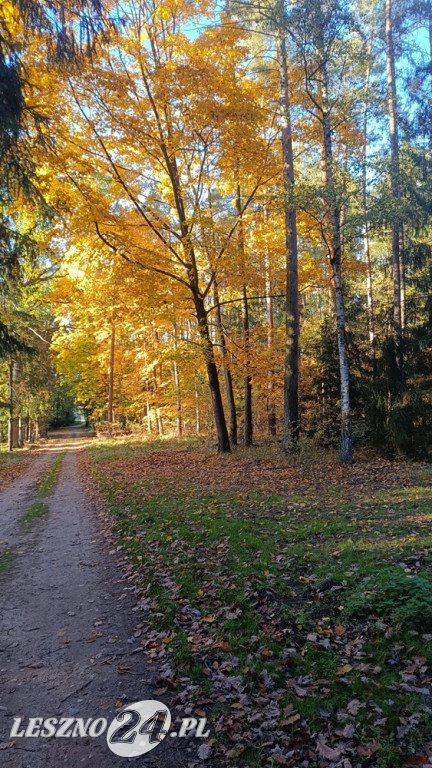 Jesienne zdjęcia czytelników leszno24.pl