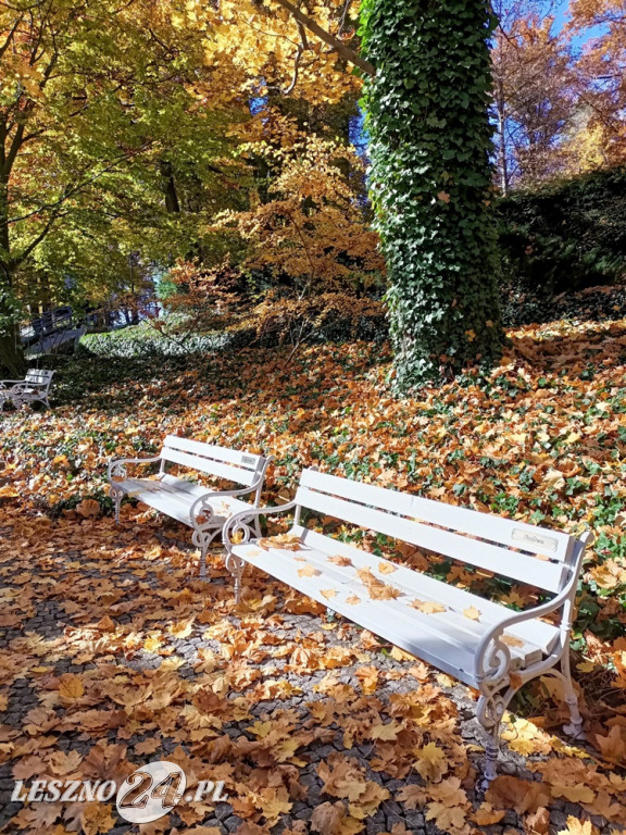 Jesienne zdjęcia czytelników leszno24.pl