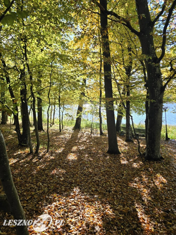 Jesienne zdjęcia czytelników leszno24.pl