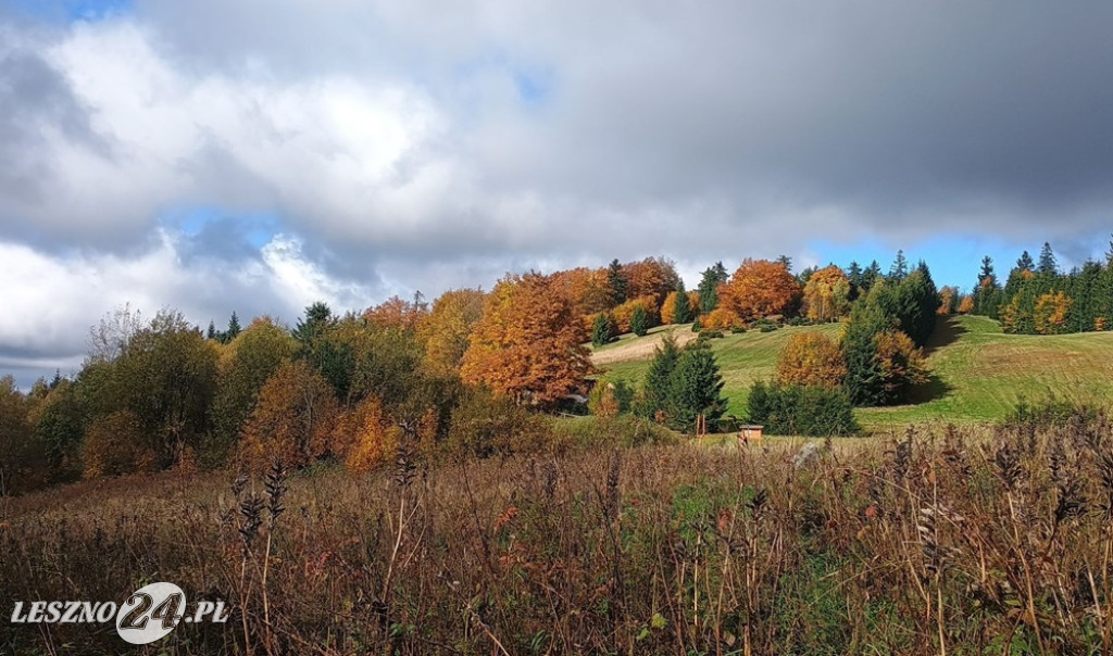 Jesienne zdjęcia czytelników leszno24.pl