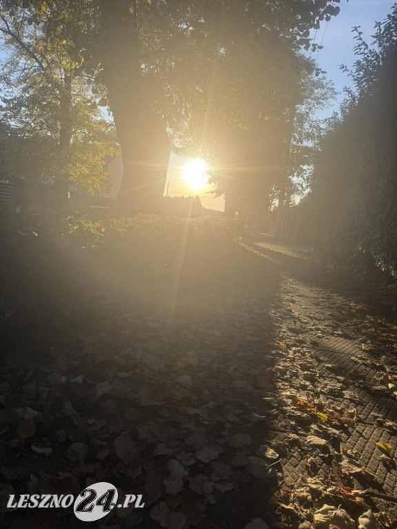 Jesienne zdjęcia czytelników leszno24.pl