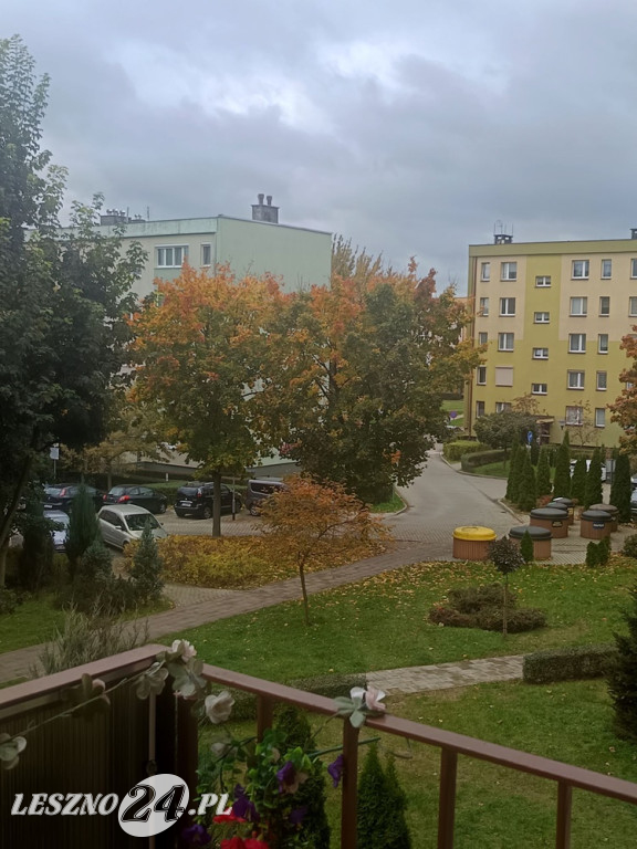 Jesienne zdjęcia czytelników leszno24.pl