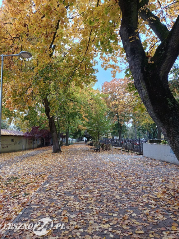 Jesienne zdjęcia czytelników leszno24.pl