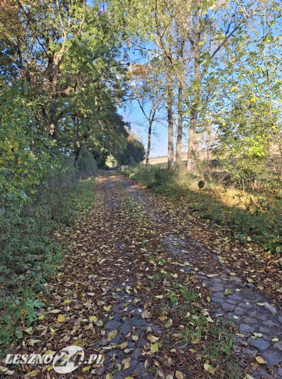 Jesienne zdjęcia czytelników leszno24.pl
