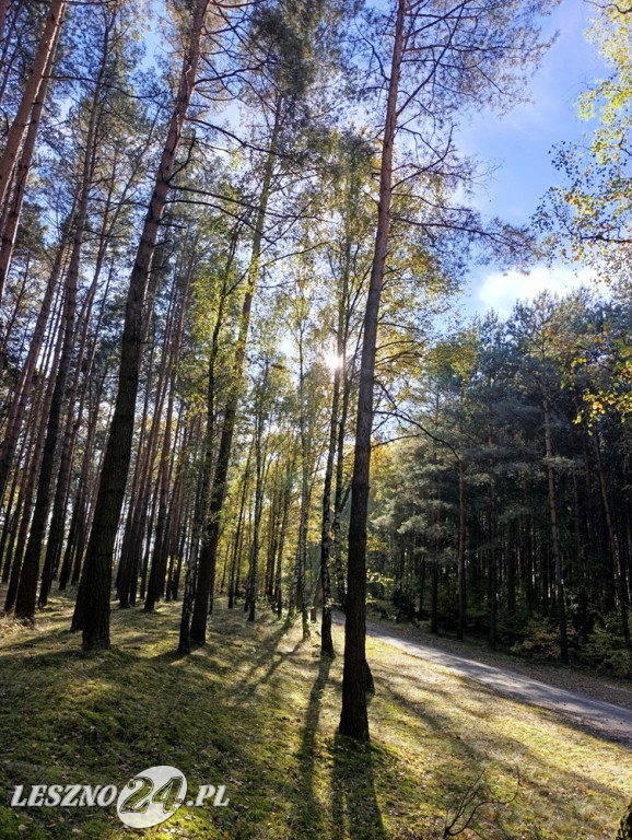 Jesienne zdjęcia czytelników leszno24.pl