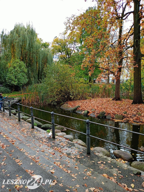 Jesienne zdjęcia czytelników leszno24.pl