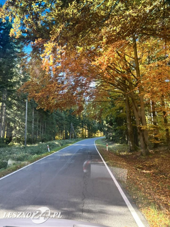 Jesienne zdjęcia czytelników leszno24.pl