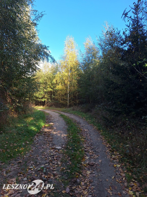Jesienne zdjęcia czytelników leszno24.pl