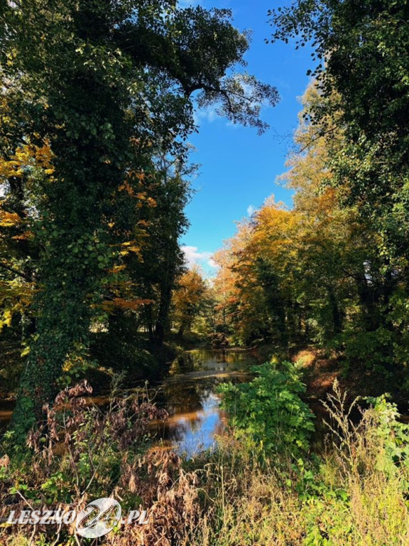 Jesienne zdjęcia czytelników leszno24.pl