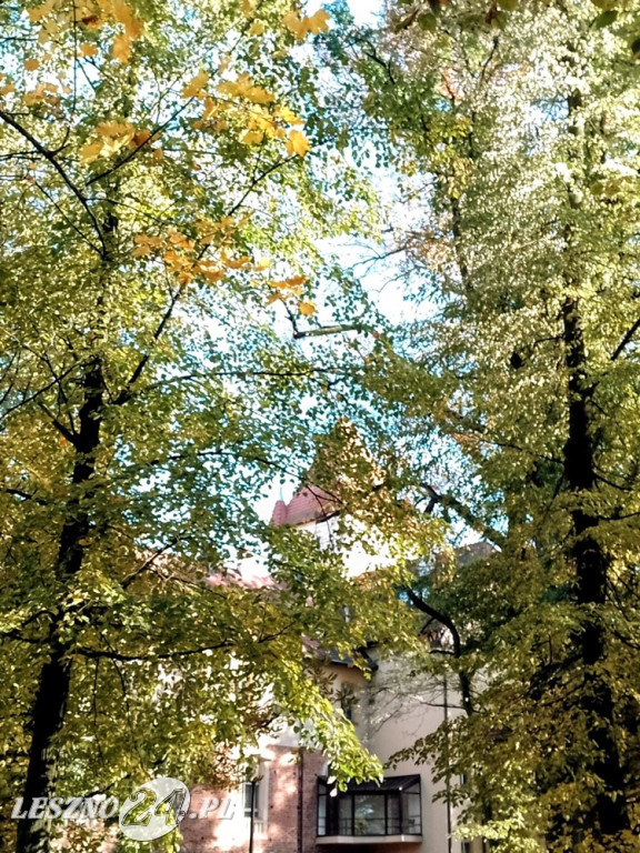 Jesienne zdjęcia czytelników leszno24.pl