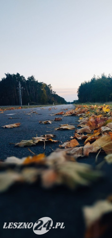 Jesienne zdjęcia czytelników leszno24.pl