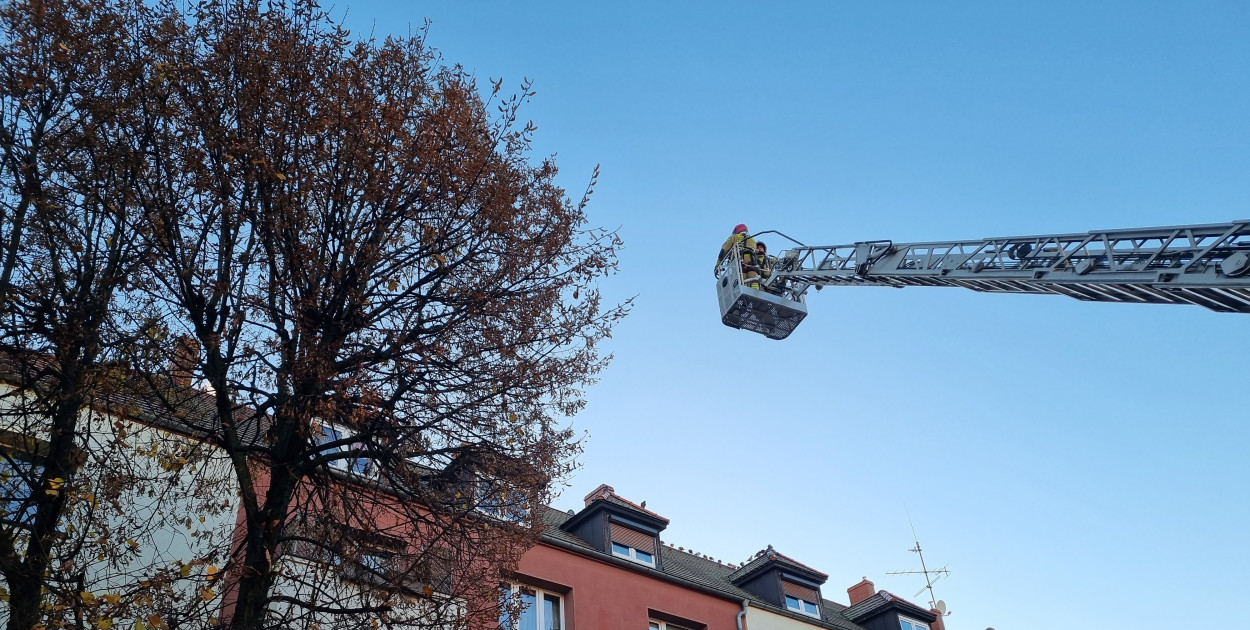 Trzy wozy strażackie przy ul. Dąbrowskiego