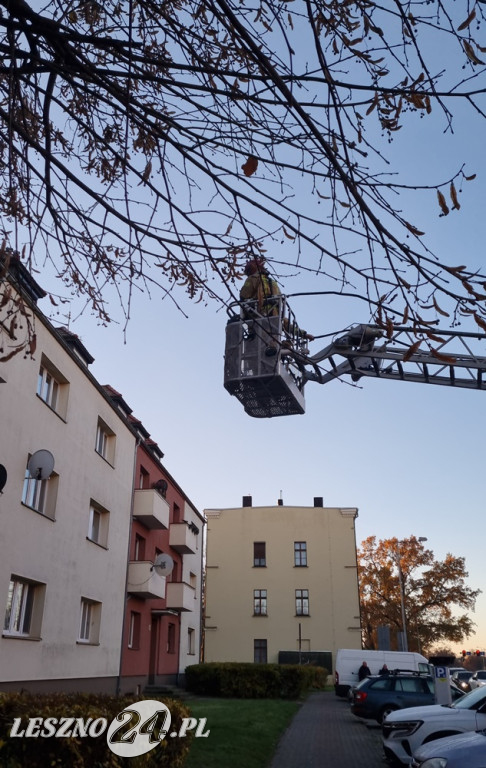 Trzy wozy strażackie przy ul. Dąbrowskiego