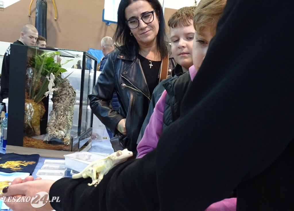 Targi Terrarystyczne EXOTICARIUM LOKALNIE Leszno