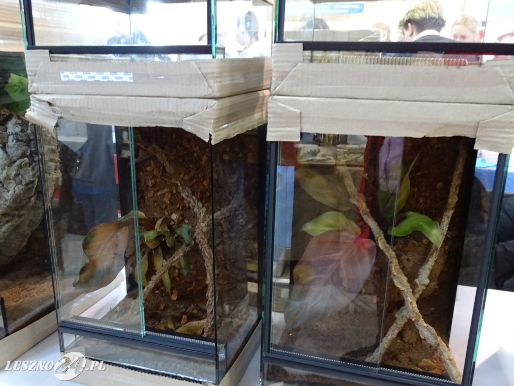 Targi Terrarystyczne EXOTICARIUM LOKALNIE Leszno