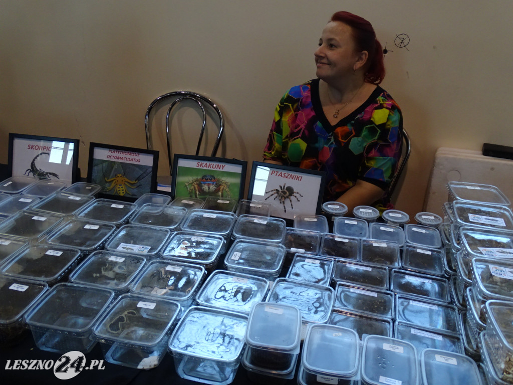 Targi Terrarystyczne EXOTICARIUM LOKALNIE Leszno