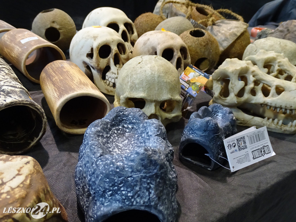 Targi Terrarystyczne EXOTICARIUM LOKALNIE Leszno