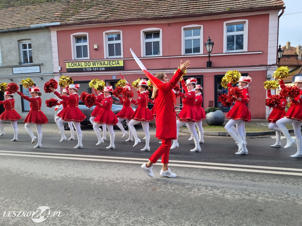 XIII Rydzyński Bieg Niepodległości